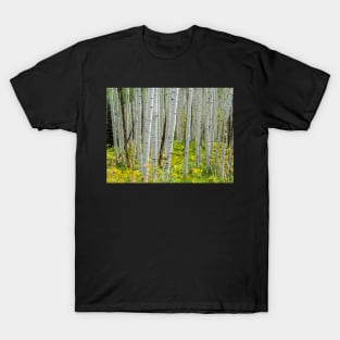 Aspen Trees T-Shirt